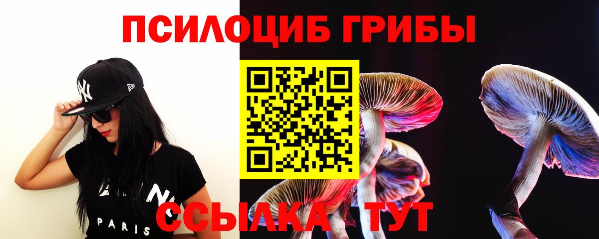 Галлюциногенные грибы прущие грибы Ипатово